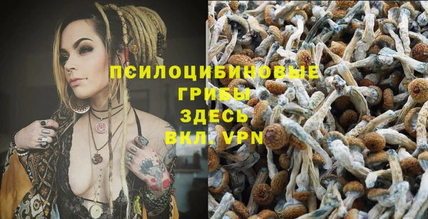 a pvp Горняк